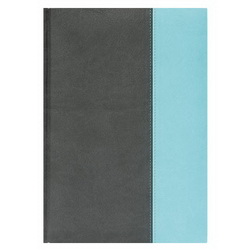 Ежедневник PARIGINA недатированный (320 cтр.), цвет серый + бирюзовый