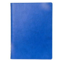 Ежедневник недатированный VISTA (320 стр.) на полускрытой пружине, цвет  синий