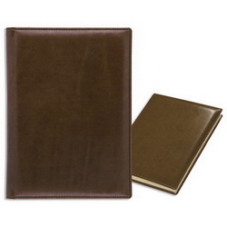 Ежедневник датированный Reina (352 стр.), тонированная бумага, золотой обрез, коричневый